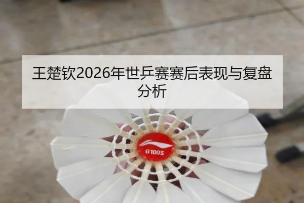 王楚钦2026年世乒赛赛后表现与复盘分析