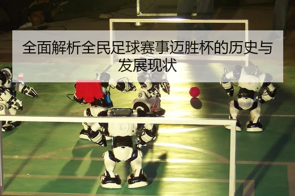 quan-mian-jie-xi-quan-min-zu-qiu-sai-shi-mai-sheng-bei-de-li-shi-yu-fa-zhan-xian-zhuang-2-785.jpg